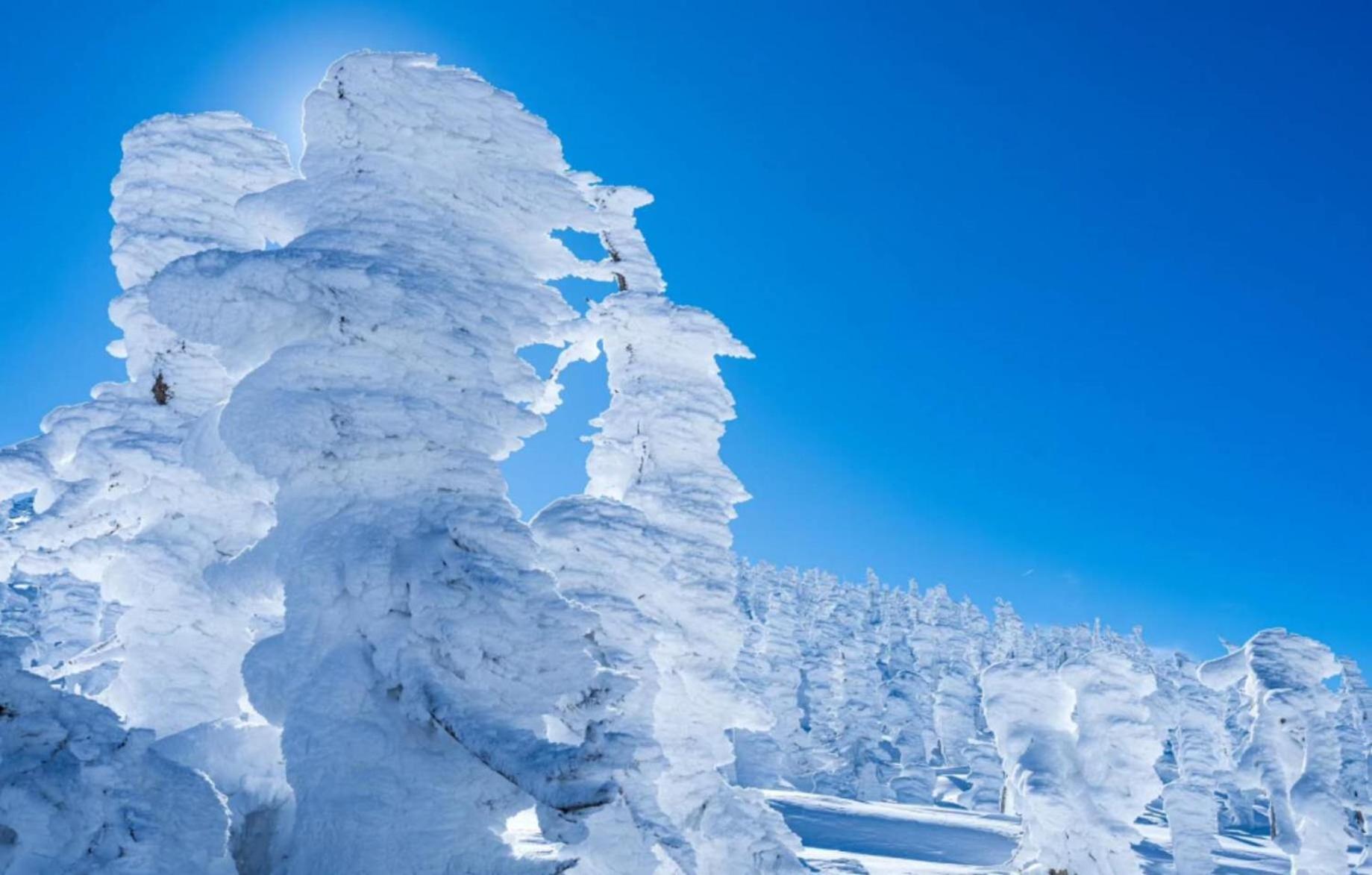 Snowfall Meteor 飛雪流星 Kaminoyama Zewnętrze zdjęcie