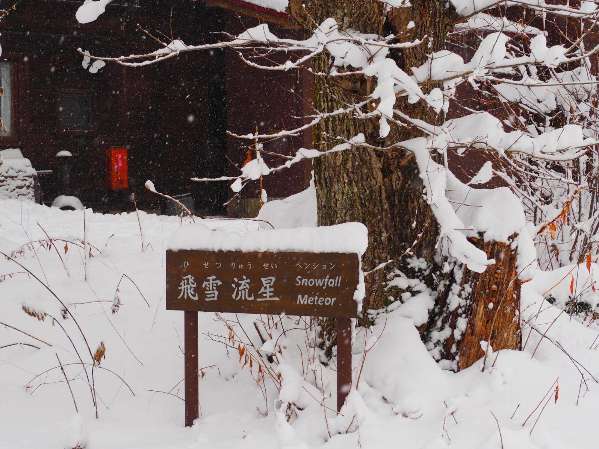 Snowfall Meteor 飛雪流星 Kaminoyama Zewnętrze zdjęcie